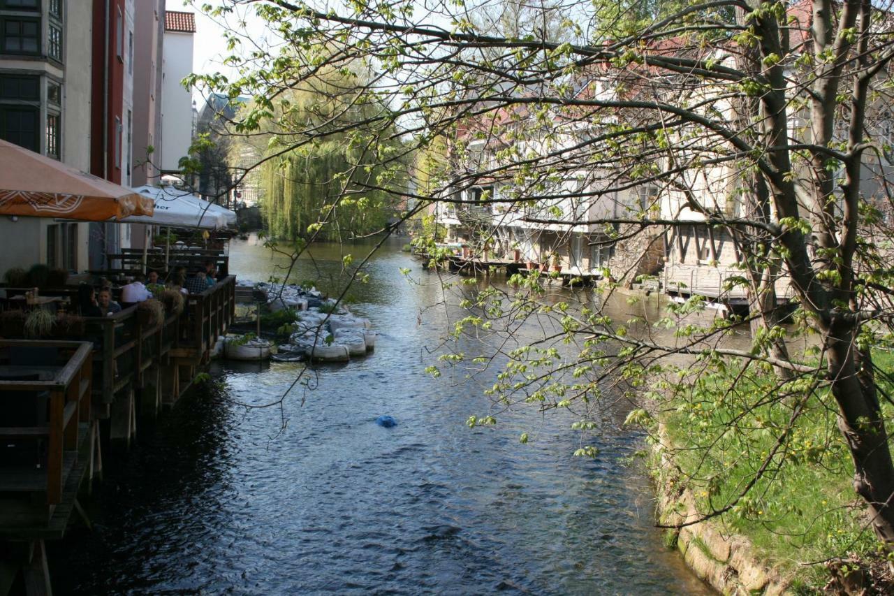 Am Puls Der Altstadt Érfurt Exterior foto